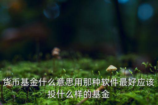 貨幣基金t什么意思，貨幣基金贖回時間T3是什么意思