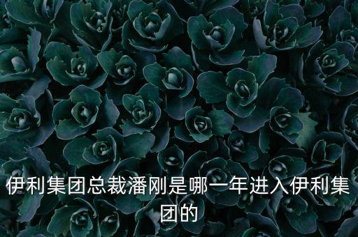 潘剛什么背景，潘剛是哪里人啊