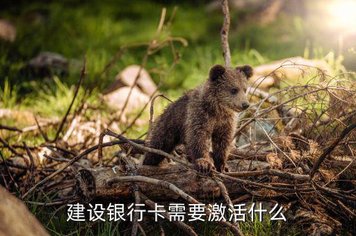 建行信用卡激活需要什么，激活信用卡需要準(zhǔn)備什么東西身份證和戶口本