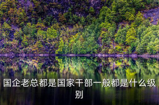 中交地產(chǎn)總經(jīng)理屬于什么級(jí)別干部，國(guó)企老總都是國(guó)家干部一般都是什么級(jí)別