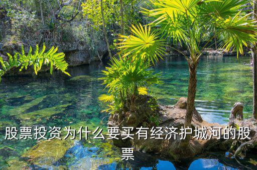 什么是股票投資的護城河理論，從基本面看證券投資的護城河是指哪幾類情況