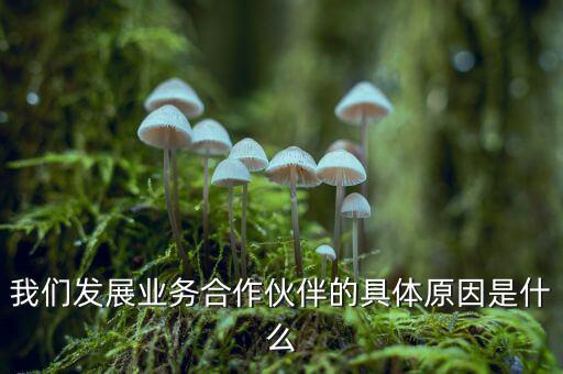 為什么要發(fā)展同業(yè)業(yè)務(wù)，匯付天下之前說要大力發(fā)展同業(yè)業(yè)務(wù)同業(yè)業(yè)務(wù)指的是甚么
