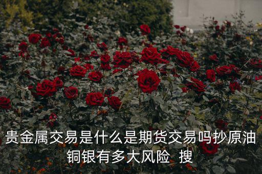 貴金屬交易是什么是期貨交易嗎抄原油銅銀有多大風(fēng)險  搜