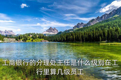 銀行分理處值班經理是什么職位，工商銀行的分理處主任是什么級別在工行里算幾級員工