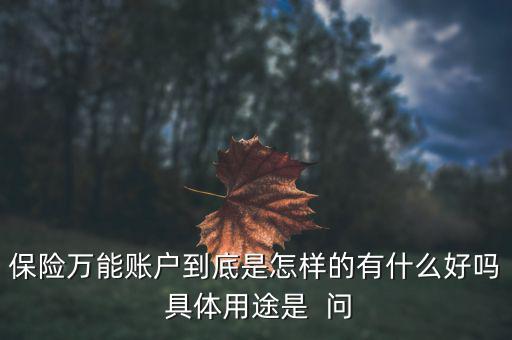 保險(xiǎn)萬(wàn)能賬戶到底是怎樣的有什么好嗎 具體用途是  問(wèn)