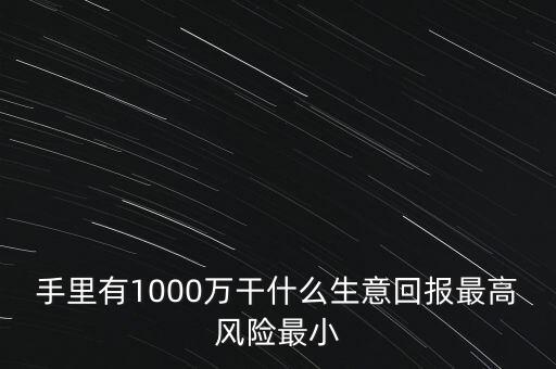 1000萬投資什么生意，手里有1000萬干什么生意回報(bào)最高風(fēng)險(xiǎn)最小