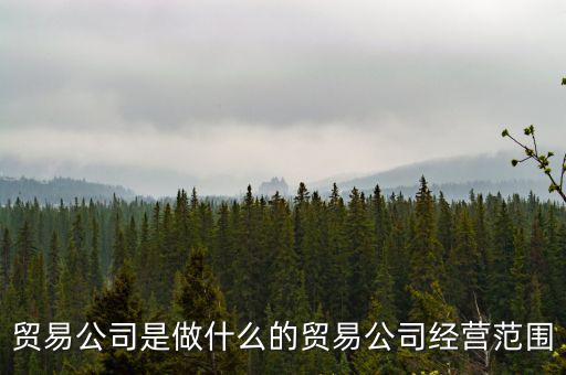 民百集團(tuán)經(jīng)營(yíng)什么，貿(mào)易公司是做什么的貿(mào)易公司經(jīng)營(yíng)范圍