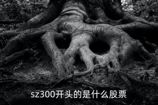 sz開頭的是什么股票，sz300開頭的是什么股票