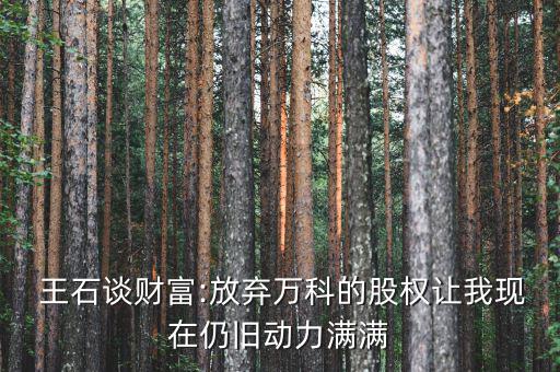  王石談財富:放棄萬科的股權(quán)讓我現(xiàn)在仍舊動力滿滿