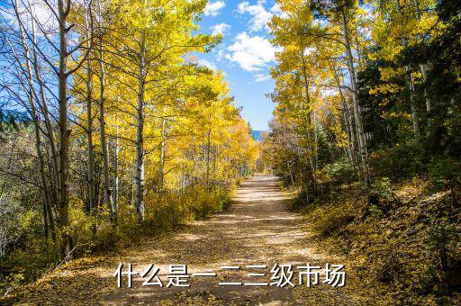 什么是一級市場，房地產一級市場是什么意思