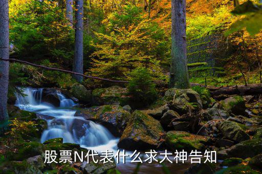 股市中n是什么意思，一些股票中前面的N是什么意思