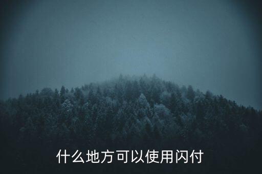 濟(jì)南什么地方支持閃付，濟(jì)南那個(gè)超市pos機(jī)有閃付