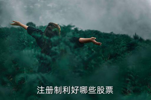 什么股票注冊(cè)制，IPO注冊(cè)制是什么意思