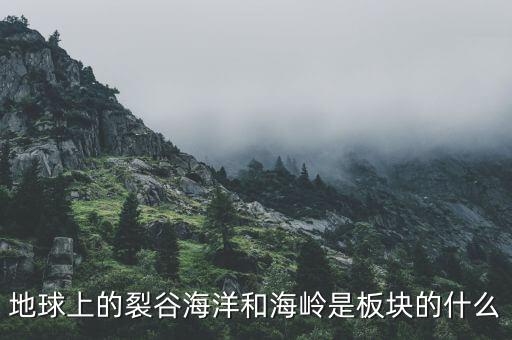 誠益通屬于什么板塊，地球上的裂谷海洋和海嶺是板塊的什么