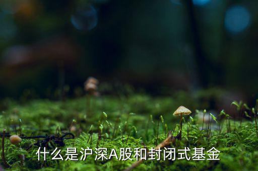 什么是滬深A股和封閉式基金