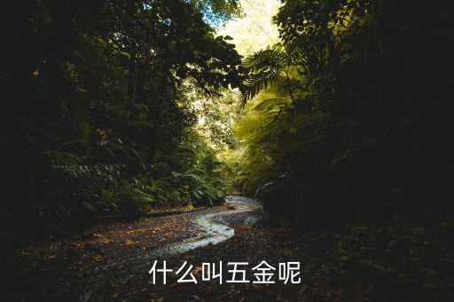 什么叫一市五金多套餐，知不知道招聘里說的 五金齊全是指什么