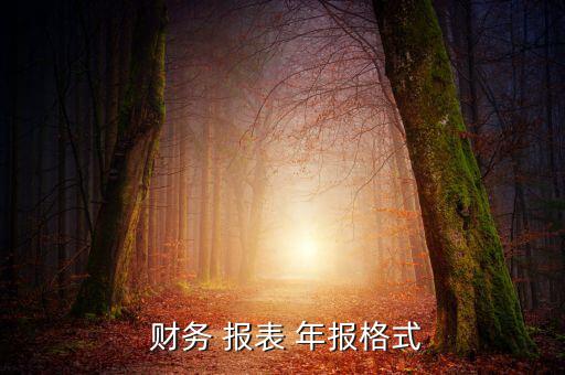  財務(wù) 報表 年報格式