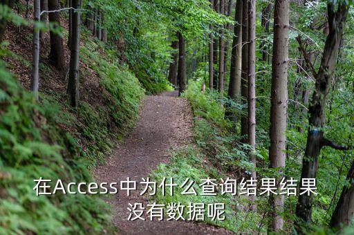 832494為什么沒有數(shù)據(jù)，在Access中為什么查詢結(jié)果結(jié)果沒有數(shù)據(jù)呢