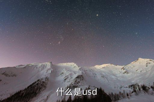 usd是什么，usd是什么貨幣