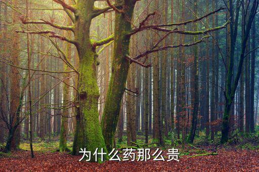 為什么藥價(jià)那么貴，醫(yī)藥費(fèi)為什么那么貴