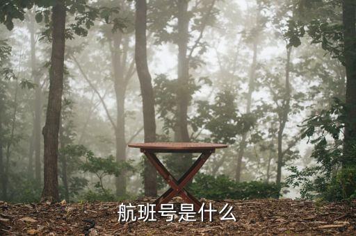 航班號ms什么，MS是什么航空