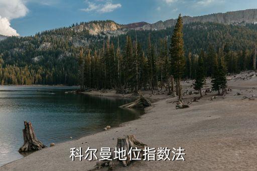 什么是地位指數(shù)，LBSI指數(shù)是什么意思