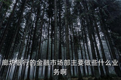 齊飛金融主營什么業(yè)務(wù)，堅(jiān)固金融都有什么業(yè)務(wù)實(shí)力怎么樣