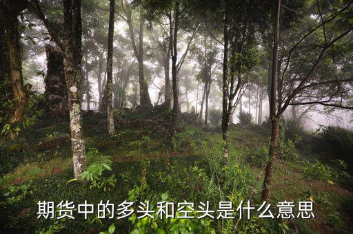 離岸空頭是什么，期貨中的多頭和空頭是什么意思