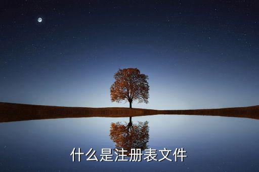什么是注冊(cè)制，化妝品注冊(cè)是什么