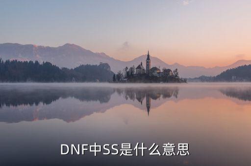 ngbss是什么，DNF武器cc和ss是指什么請?jiān)敿?xì)解釋