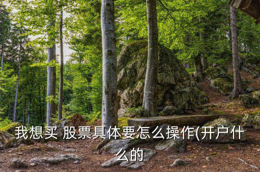 我想買(mǎi) 股票具體要怎么操作(開(kāi)戶什么的