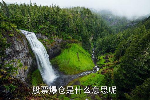 股票爆倉(cāng)是什么意思，股市中的爆倉(cāng)是什么意思