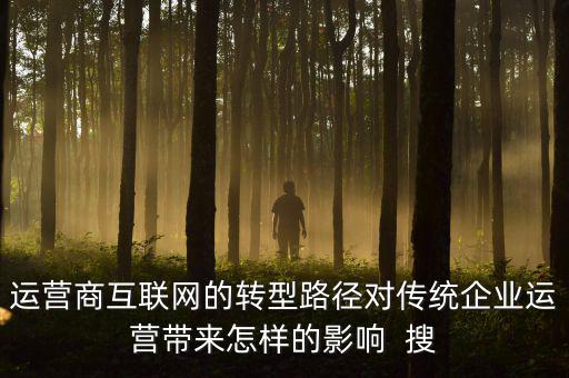 運(yùn)營(yíng)商互聯(lián)網(wǎng)的轉(zhuǎn)型路徑對(duì)傳統(tǒng)企業(yè)運(yùn)營(yíng)帶來(lái)怎樣的影響  搜