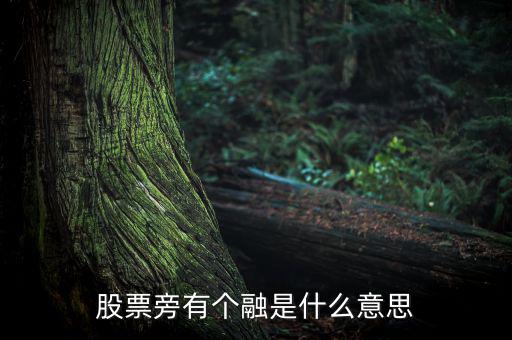 融買融賣是什么意思，股票旁有個(gè)融是什么意思