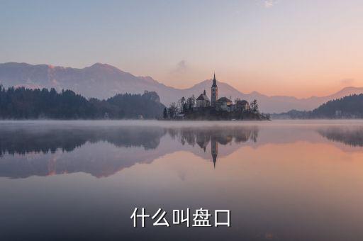 大盤口什么意思，大盤中的盤口是什么意思啊