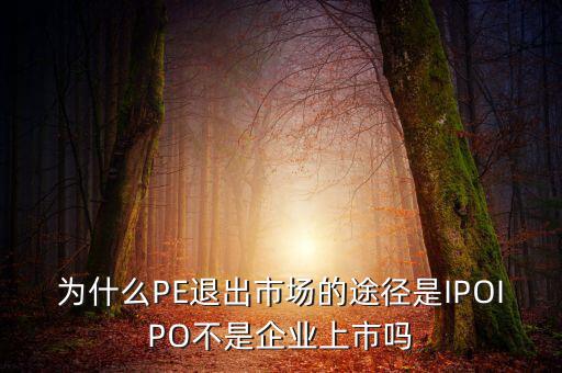 pe為什么要退出，為什么PE退出市場(chǎng)的途徑是IPOIPO不是企業(yè)上市嗎