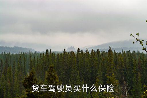 貨車司機買什么保險好，大貨車買什么保險最好