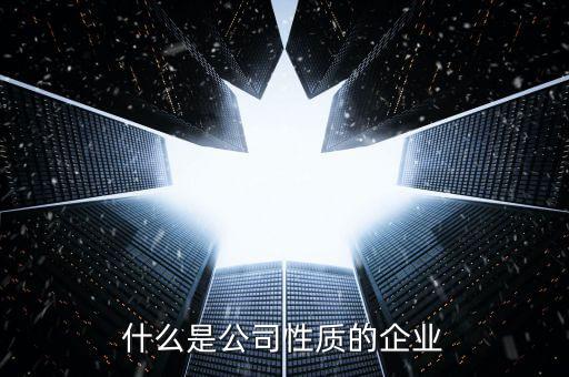 中期集團(tuán)是什么性質(zhì)的企業(yè)，集團(tuán)是什么性質(zhì)的公司
