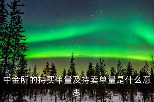 持買(mǎi)單量是什么意思，持賣(mài)單什么意思