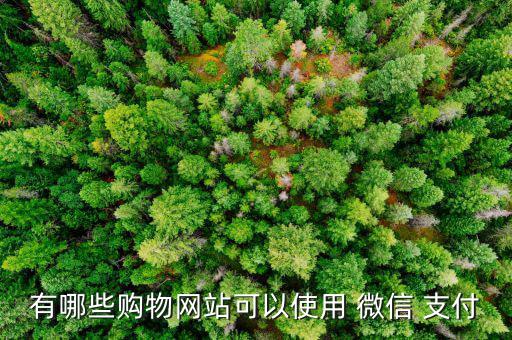 美麗說(shuō)怎么用微信支付,家樂(lè)福全國(guó)門(mén)店均已聯(lián)網(wǎng)微信支付