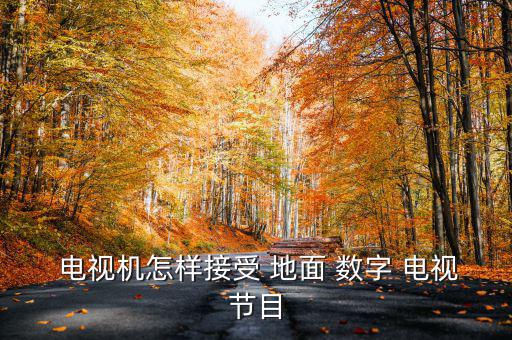  電視機怎樣接受 地面 數(shù)字 電視節(jié)目