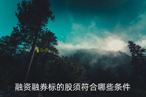 融資融券的股票具備什么條件，證券公司申請(qǐng)融資融券應(yīng)當(dāng)具備哪些條件