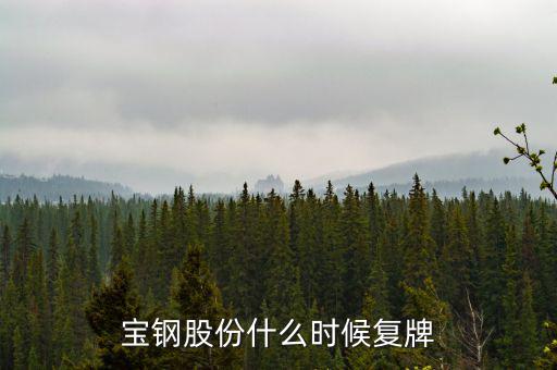 寶鋼什么時候復(fù)牌，武鋼和寶鋼什么時候完成重組