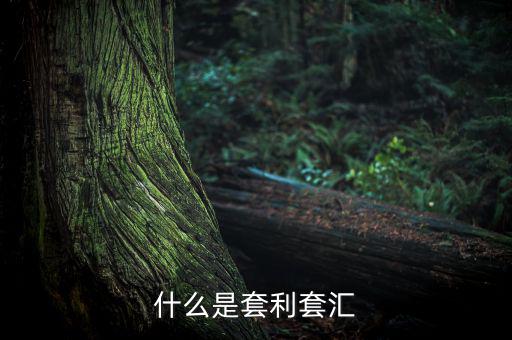 外匯套利是什么意思，什么是外匯期貨套利交易