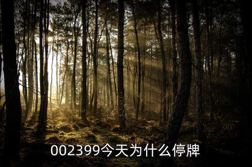 大連友誼為什么停牌，002399今天為什么停牌