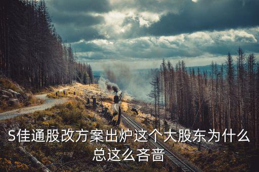 s佳通為什么不股改，s佳通的流通股這么少為什么不股改全流通