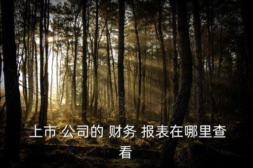  上市 公司的 財務 報表在哪里查看