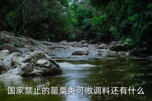 國(guó)家違禁香料有什么，國(guó)家禁止的罌粟類可做調(diào)料還有什么