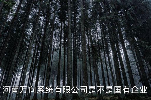 萬向集團(tuán)是什么企業(yè)，萬向集團(tuán)公司是哪一家公司設(shè)計(jì)的