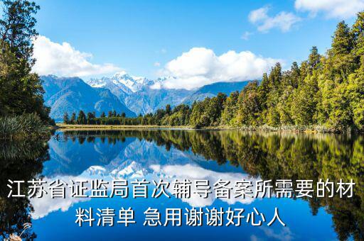 輔導(dǎo)備案登記受理是什么階段，我想問(wèn)一下辦一般納稅人申請(qǐng)后我們的輔導(dǎo)期是當(dāng)月 15小